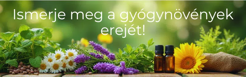 Kamilla tea babáknak: A gyógynövények gyengéd ápolása